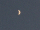 DSCN1241