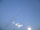 DSCN1245